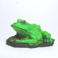 phane-grenouille-placide.JPG