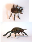 phane-scarab