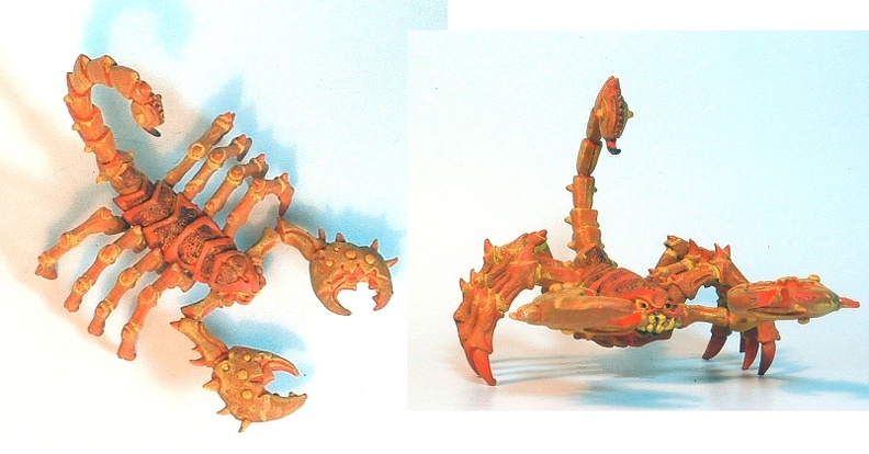 phane-scorpion1-1.jpg
