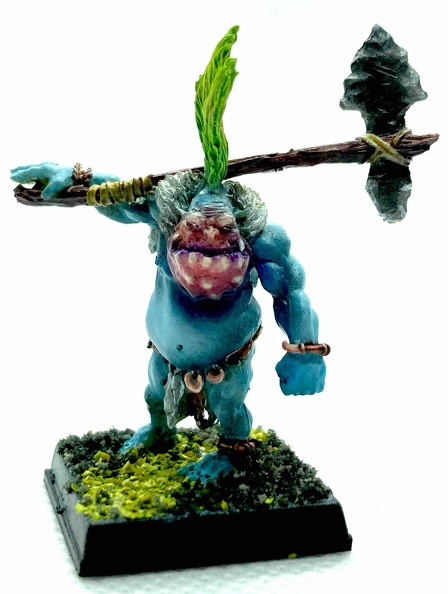 Le grand frère de l'autre, et je n'ai pas encore trouvé comment faire pour les photos des petites figues ... Rob orc bleu 2.jpg