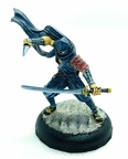 Ninja