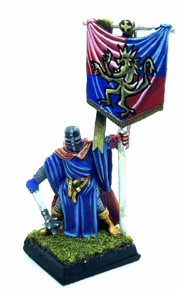 Paladin étendard .jpg